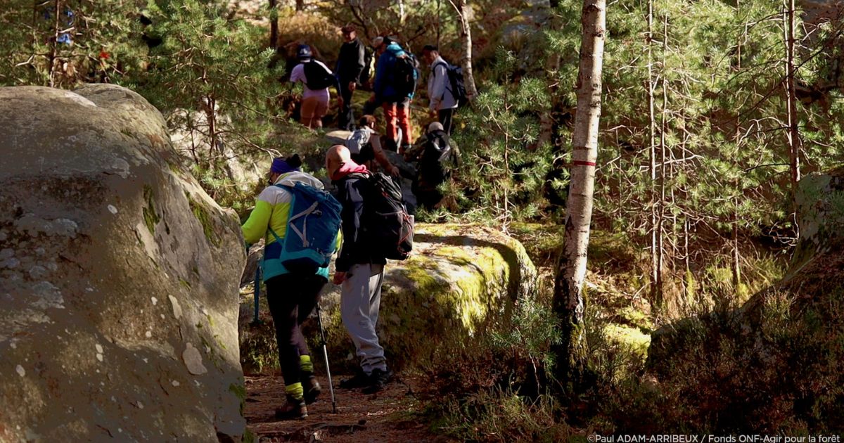 travaux de l'onf pour lutter contre l'érosion sur le circuit des 25 bosses