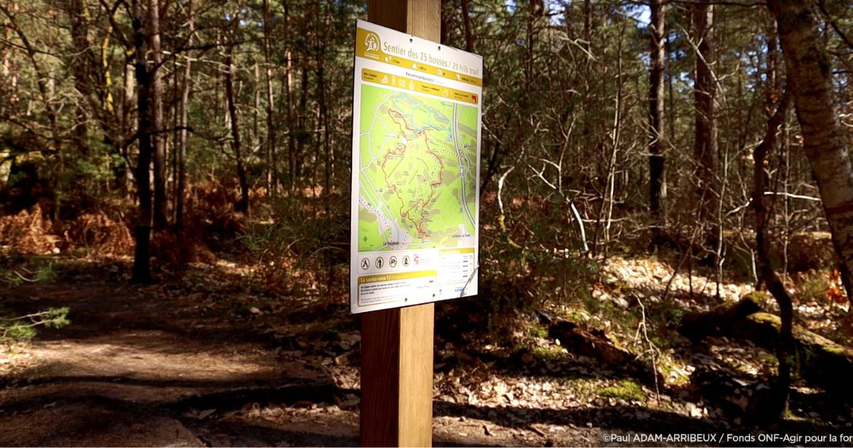 ne quittez pas le balisage des 25 bosses pour limiter l'érosion